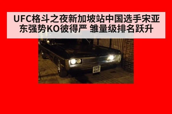 UFC格斗之夜新加坡站中国选手宋亚东强势KO彼得严 雏量级排名跃升