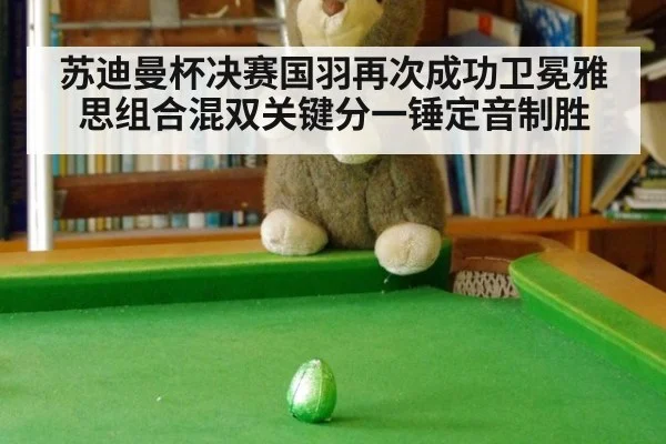 苏迪曼杯决赛国羽再次成功卫冕雅思组合混双关键分一锤定音制胜